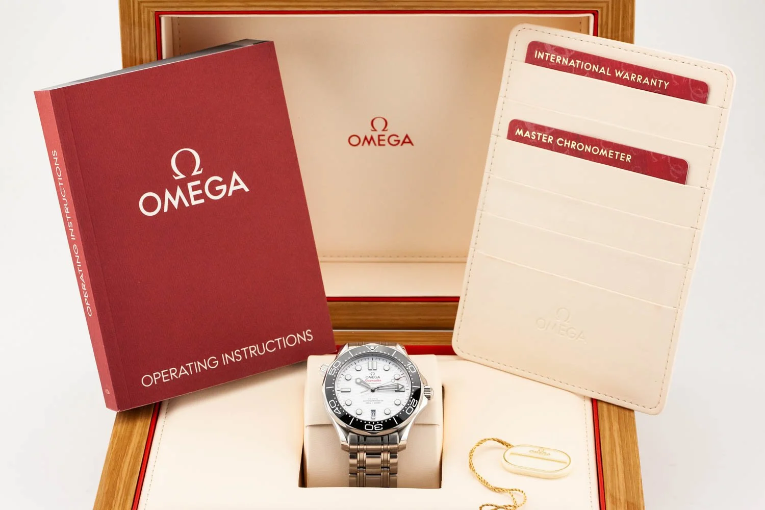 Omega Seamaster 300 White Wave Dial Bracelet Updated Kit Shot 090225 (1 of 1).jpg