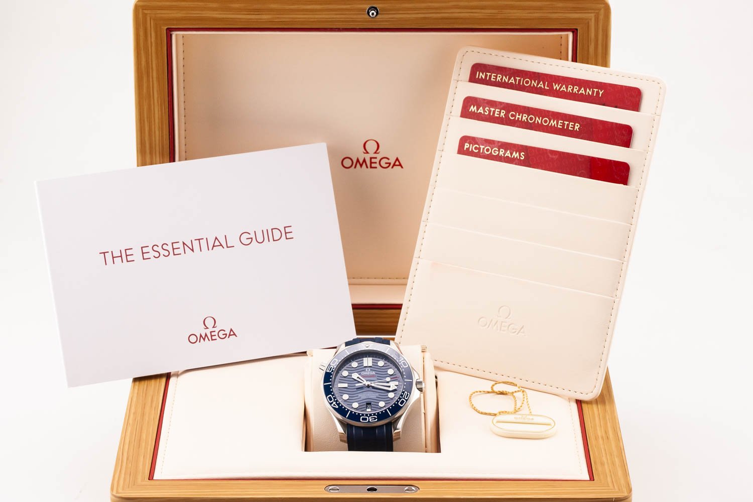 Omega Seamaster 300 Blue Wave Diver New Updated Kit Shot 100825 (1 of 1).jpg