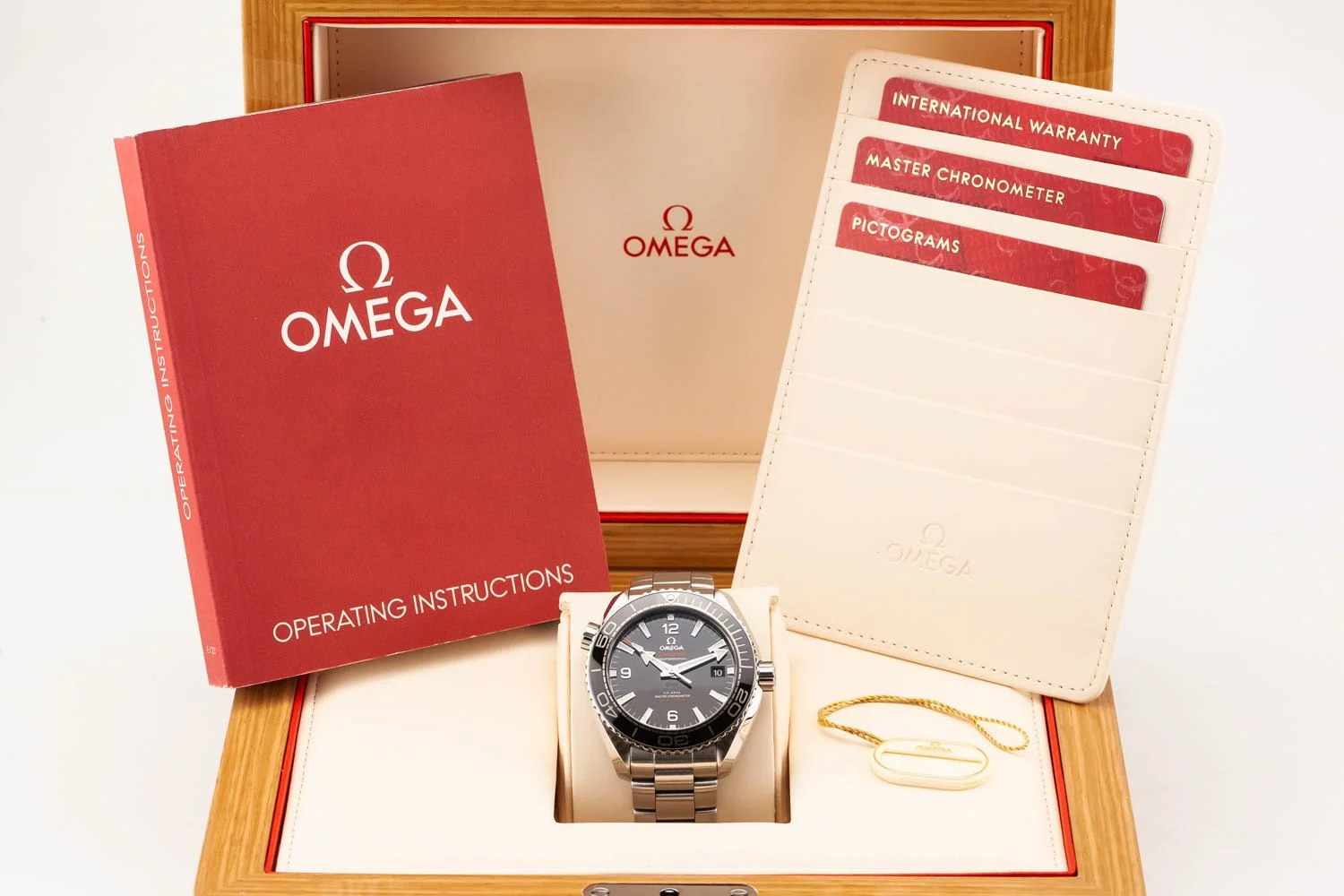 Omega Planet Ocean 600M 43.5mm Black Bracelet PO 041726 (10 of 10).jpg