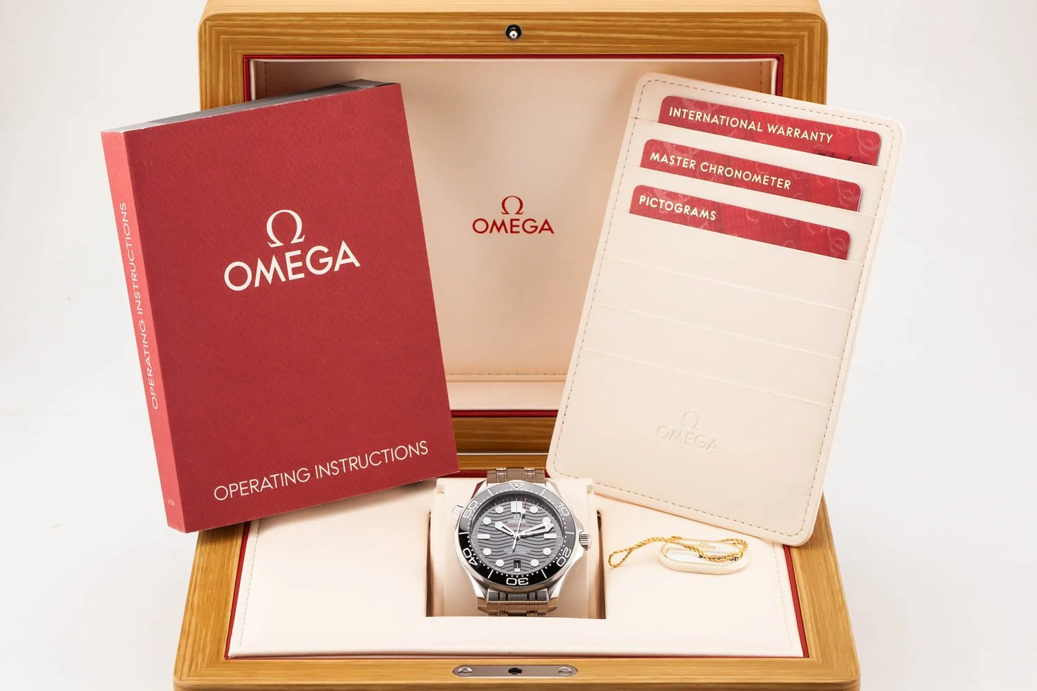 Omega Seamaster 300 Black Bracelet Mint 030226 (10 of 10).jpg