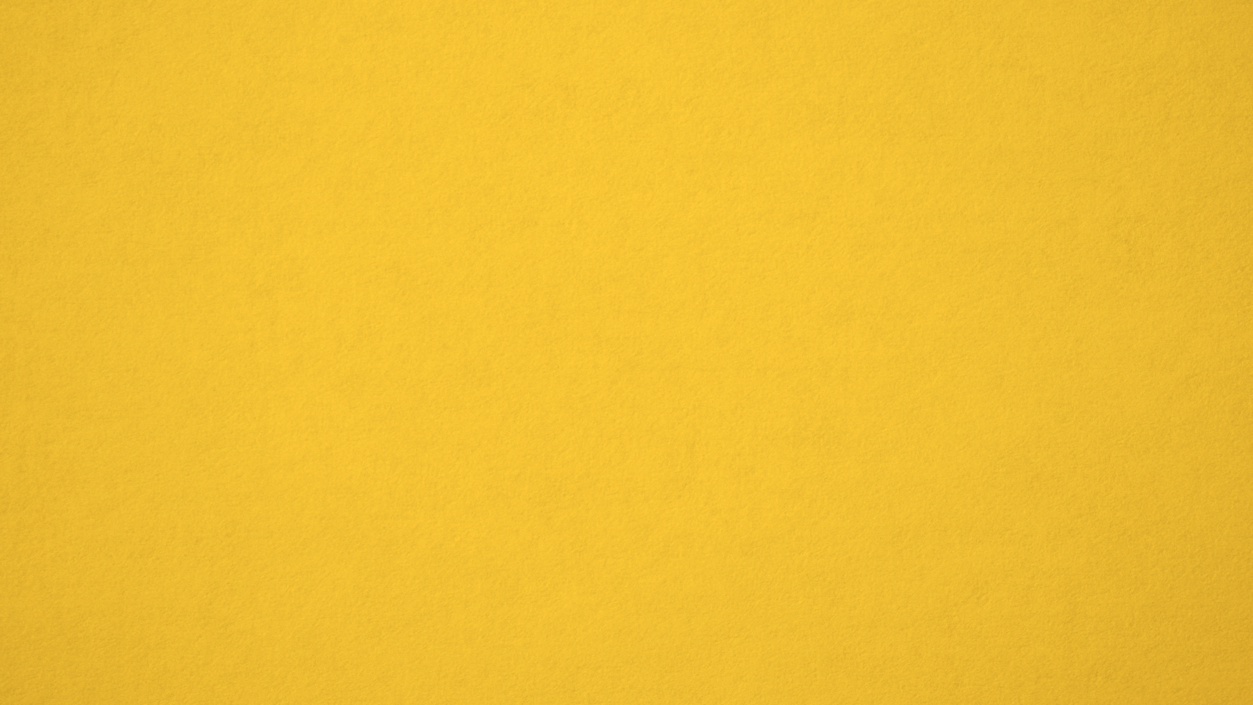 CURIOUS_MAGPIE_005 web backgrounds-01.png
