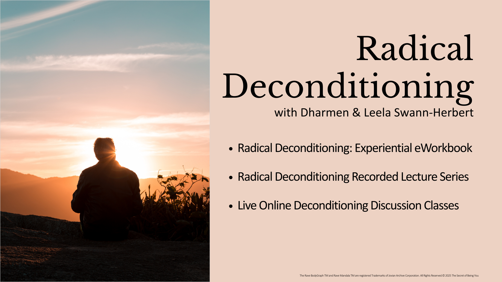 Radical Decon Promo Slides.png