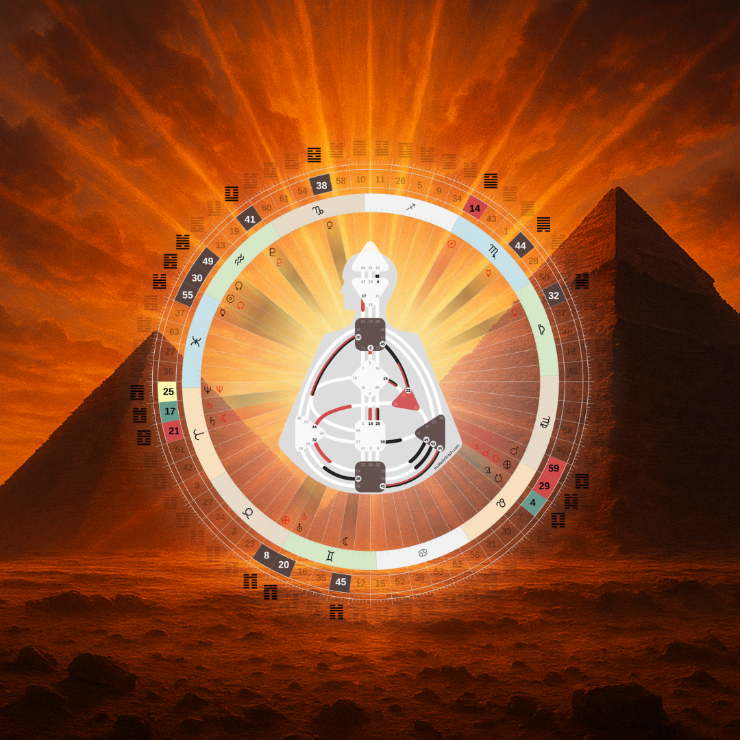 Website+Images+Countdown+%2812%29.png