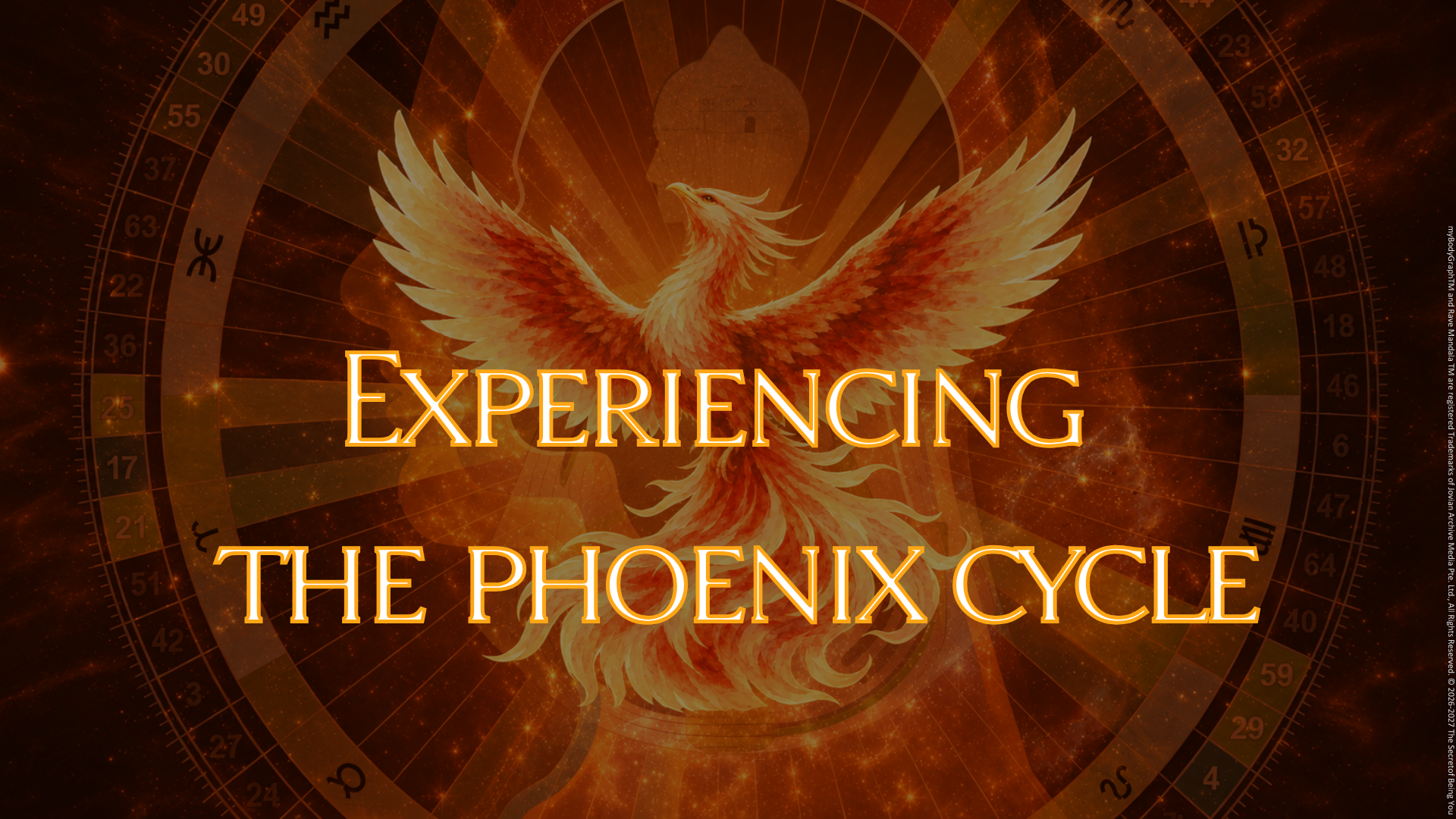 Experiencing the Phoenix Cycle.png