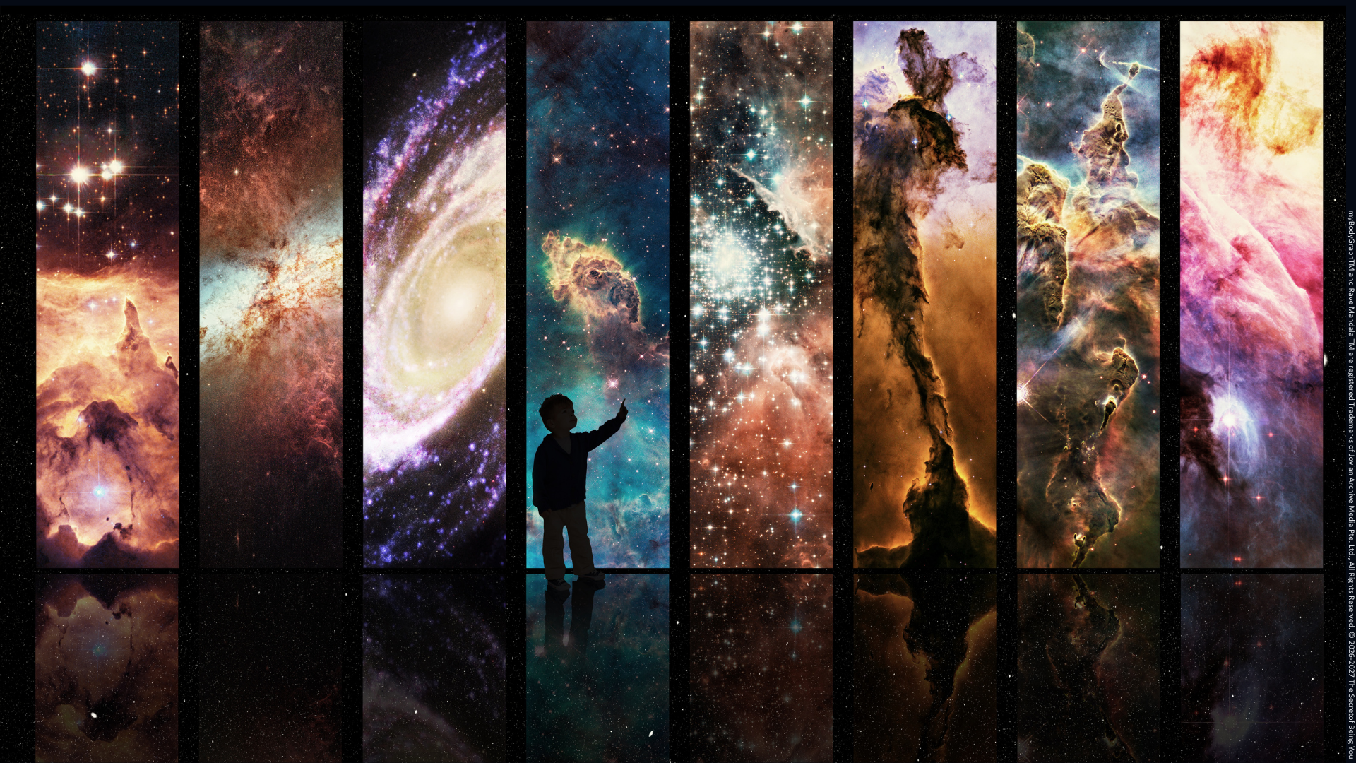 Beyond the Label: The Mechanics of Neurodiversity