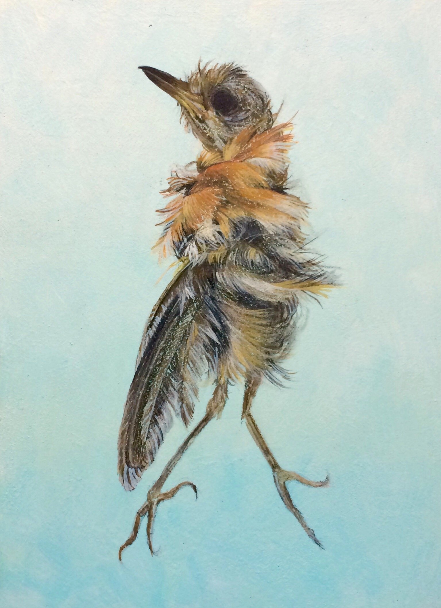 Oiseau Perdu I (2020)