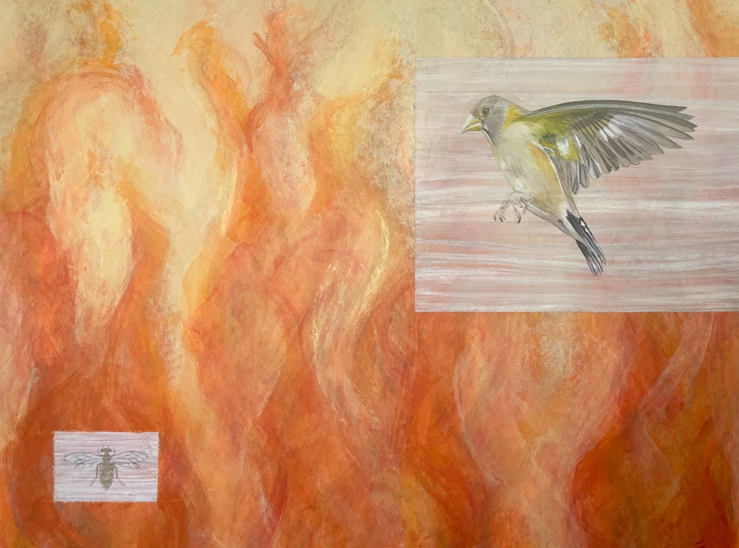 Evening Grosbeak