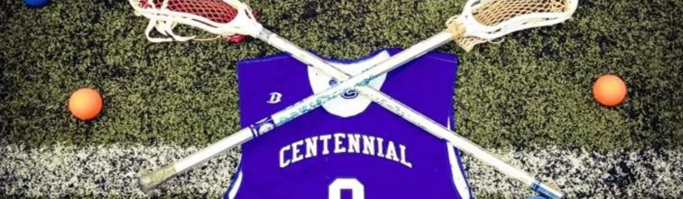 website snapshot page 2.JPG