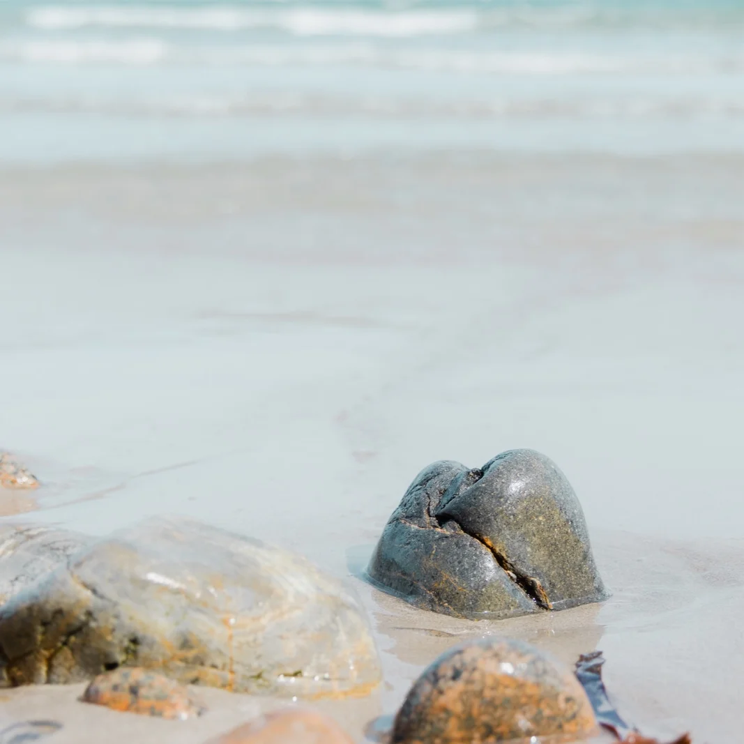 Detail photo of wet rocks with the sea as background