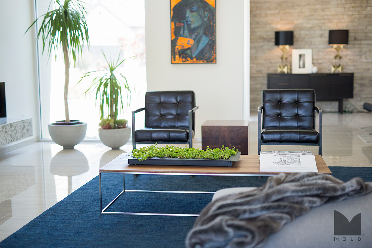 M3LD Spruce Dr. Design 3.png