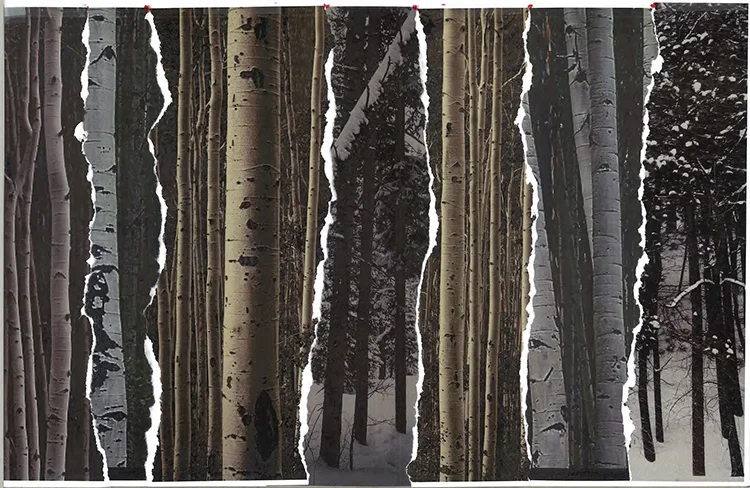 M3LD _ CSB Church-Wilderness Wallpaper 3.jpg