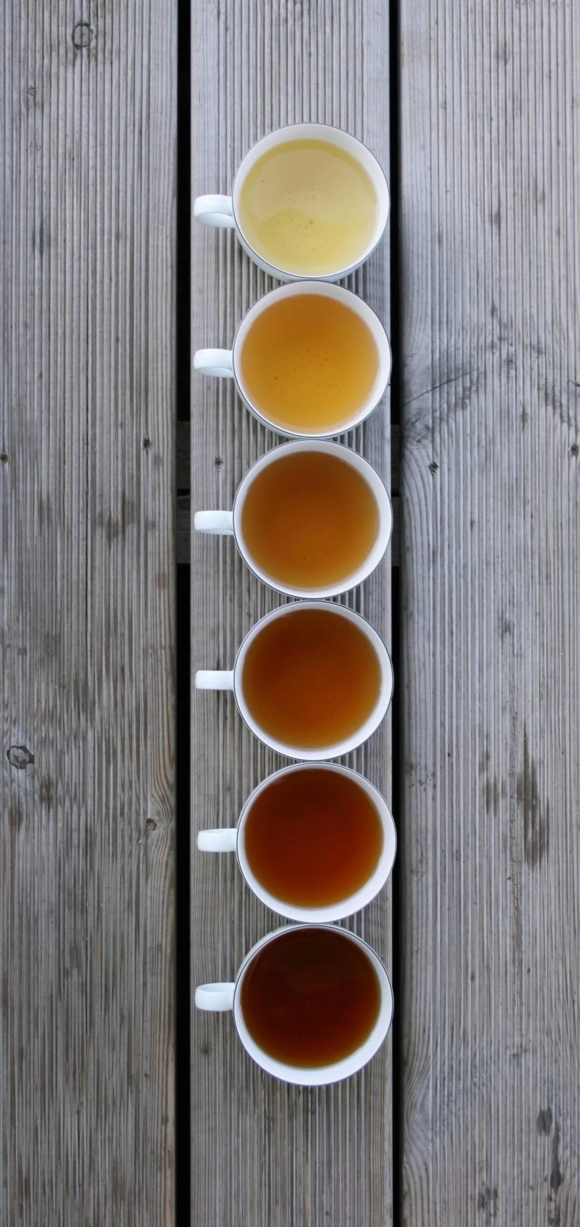 tea gradient banner.jpg