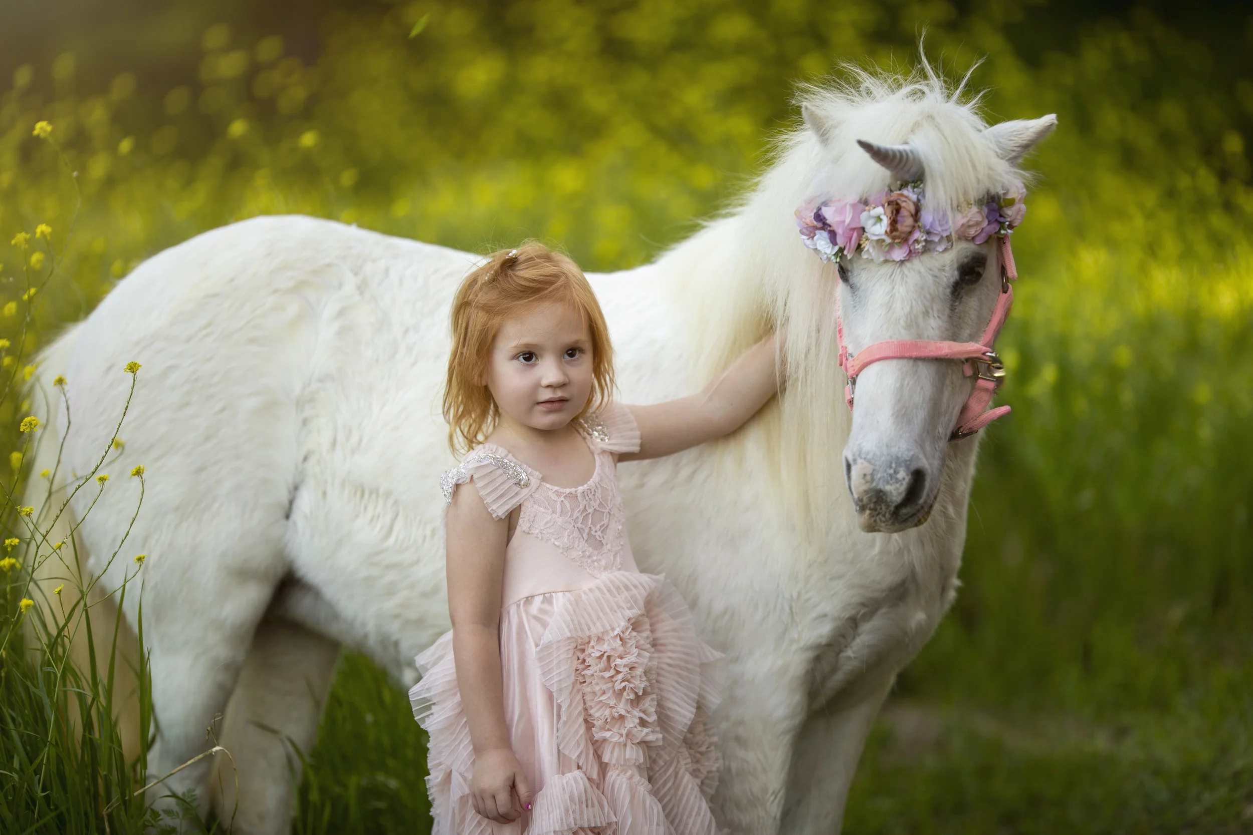Haire unicorn mini 04102019 (1).jpg