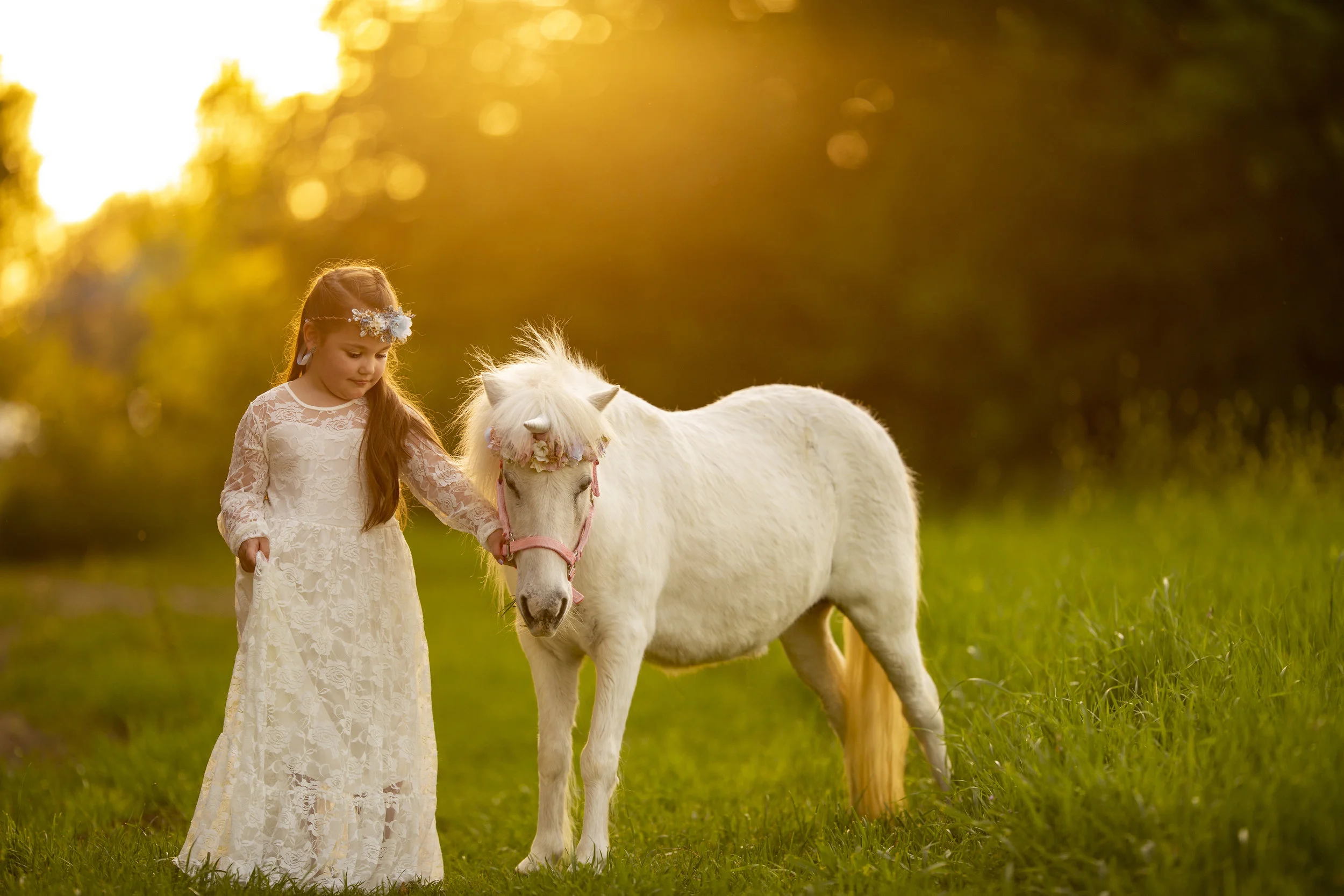 Murphy unicorn mini 04102019 (12).jpg