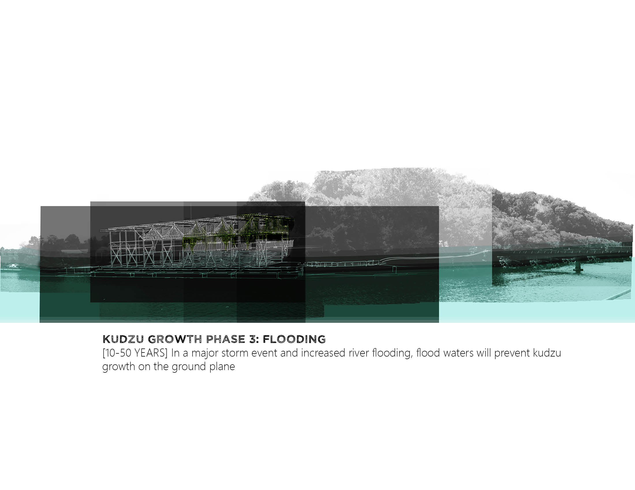 K_VAVOSO_WEBSITE28.jpg