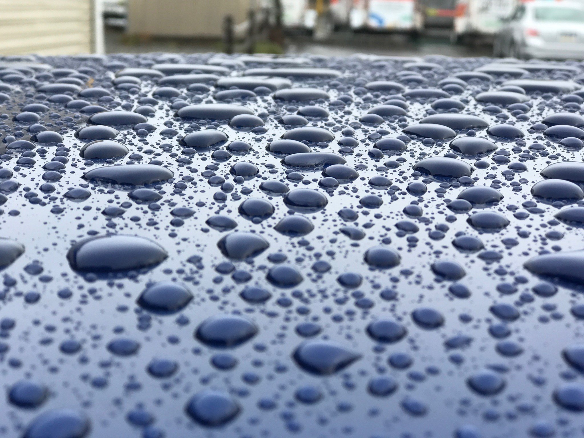 If you'd like to see the benefits of ceramic coating on your car, take a look at its hydrophobic effect after application. Water doesn't stand a chance! #rosedetailing #ceramiccoating