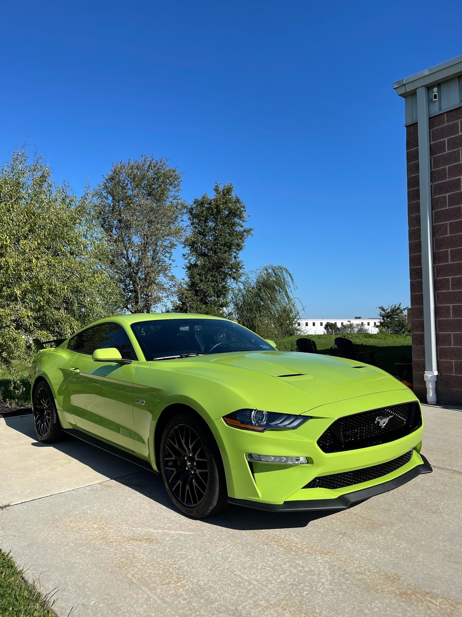 Dare to drive LOUD! 🔊 #rosedetailing #mustang #ppf #ceramiccoating #xpel #carlislepa