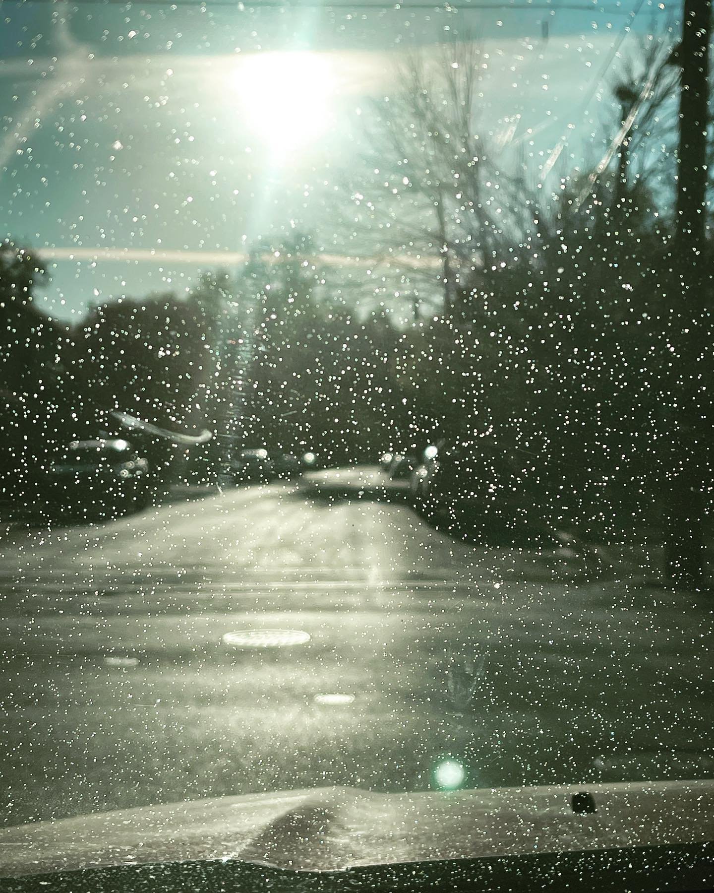 This is tree sap! 🌲 and while we love all of the trees around here, sap can harden on your paint and even cause etching over time. Our hydrophobic ceramic coating makes sap easier to remove while adding a durable layer of protection to your vehicle&