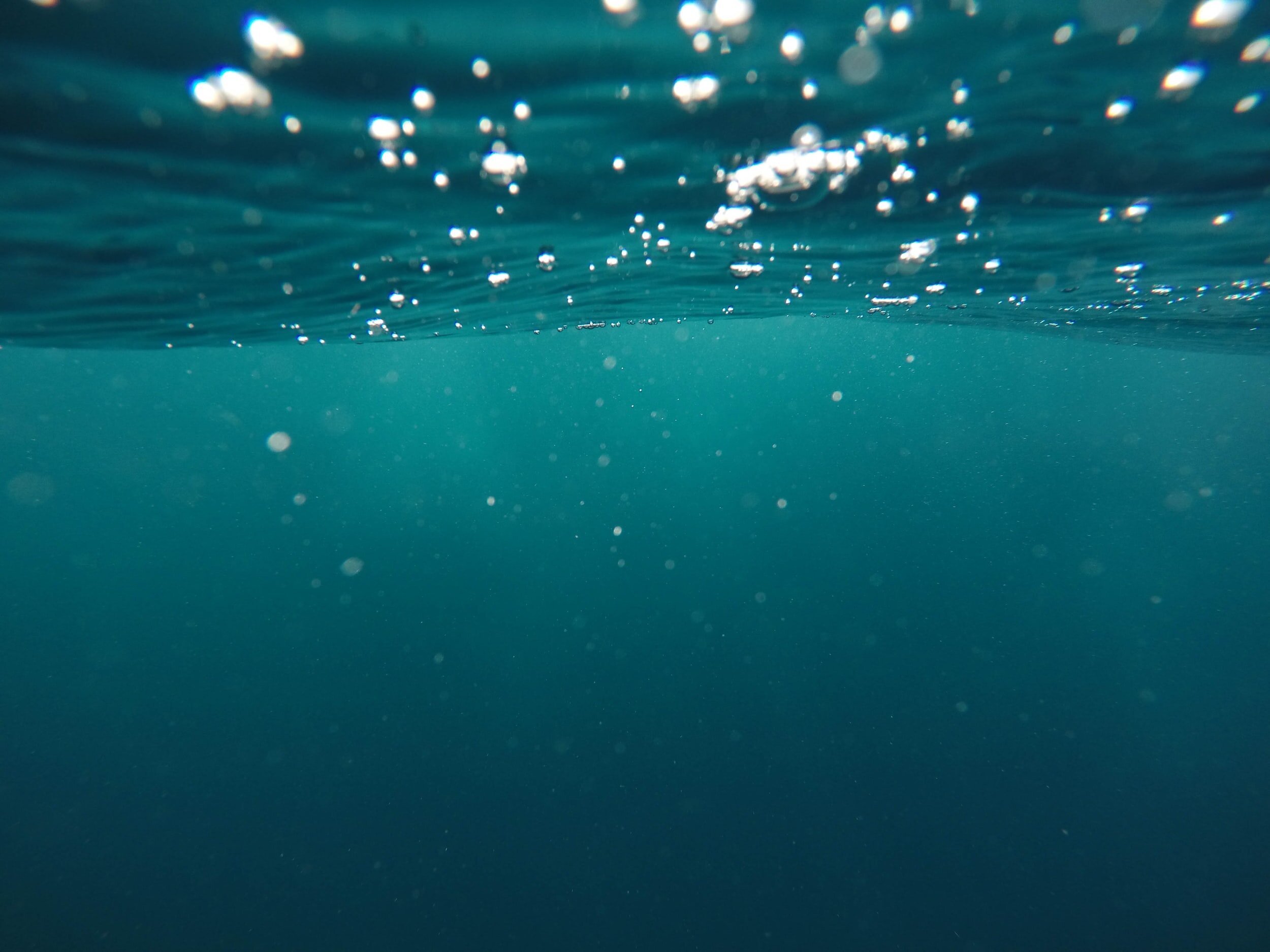 unsplash-image-1braZySlEKA.jpg