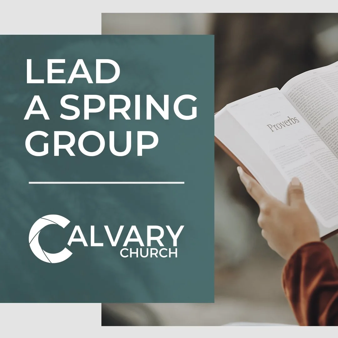Lead a Spring Group