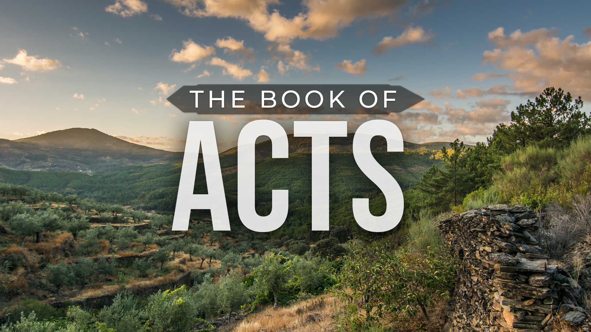 Acts 1