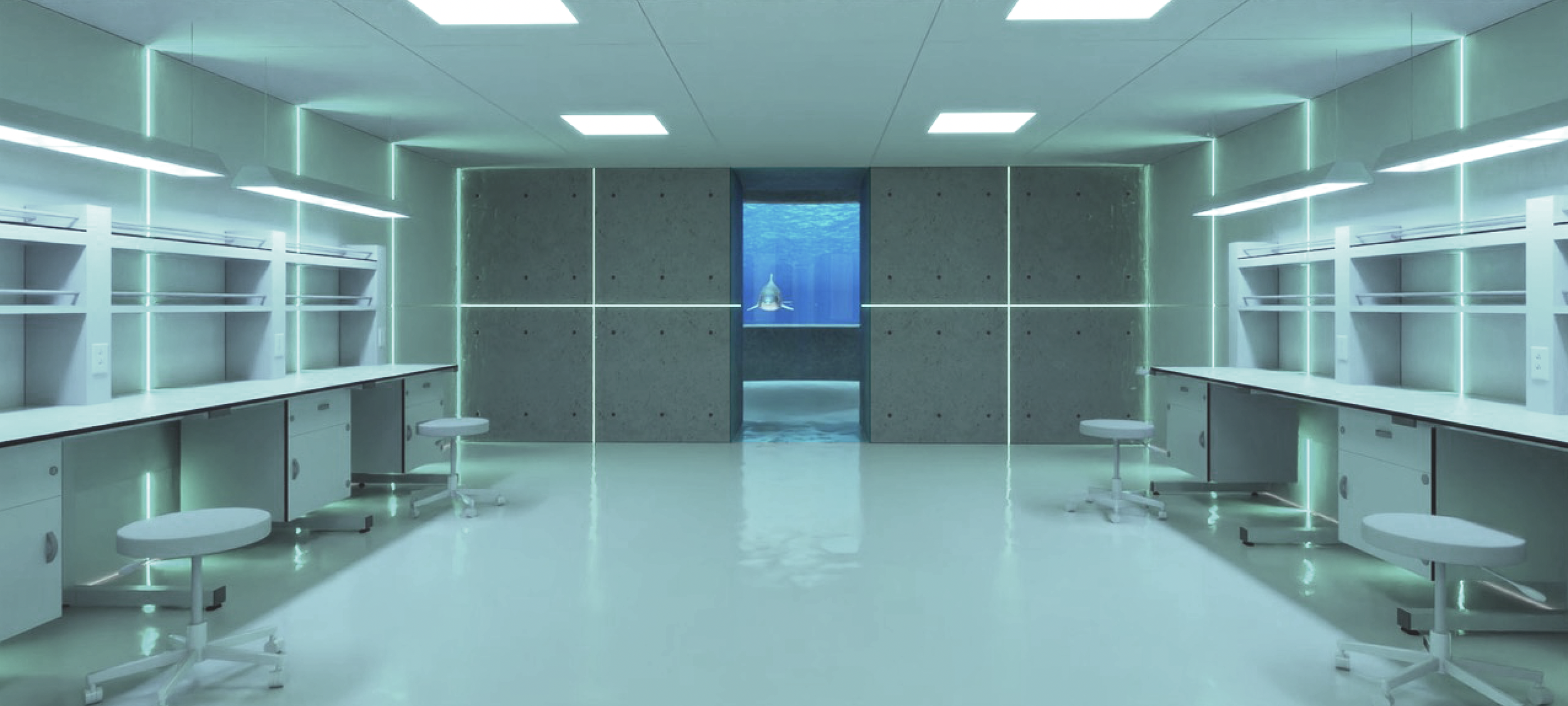 Screen Shot 2021-09-29 at 10.41.43 AM.png