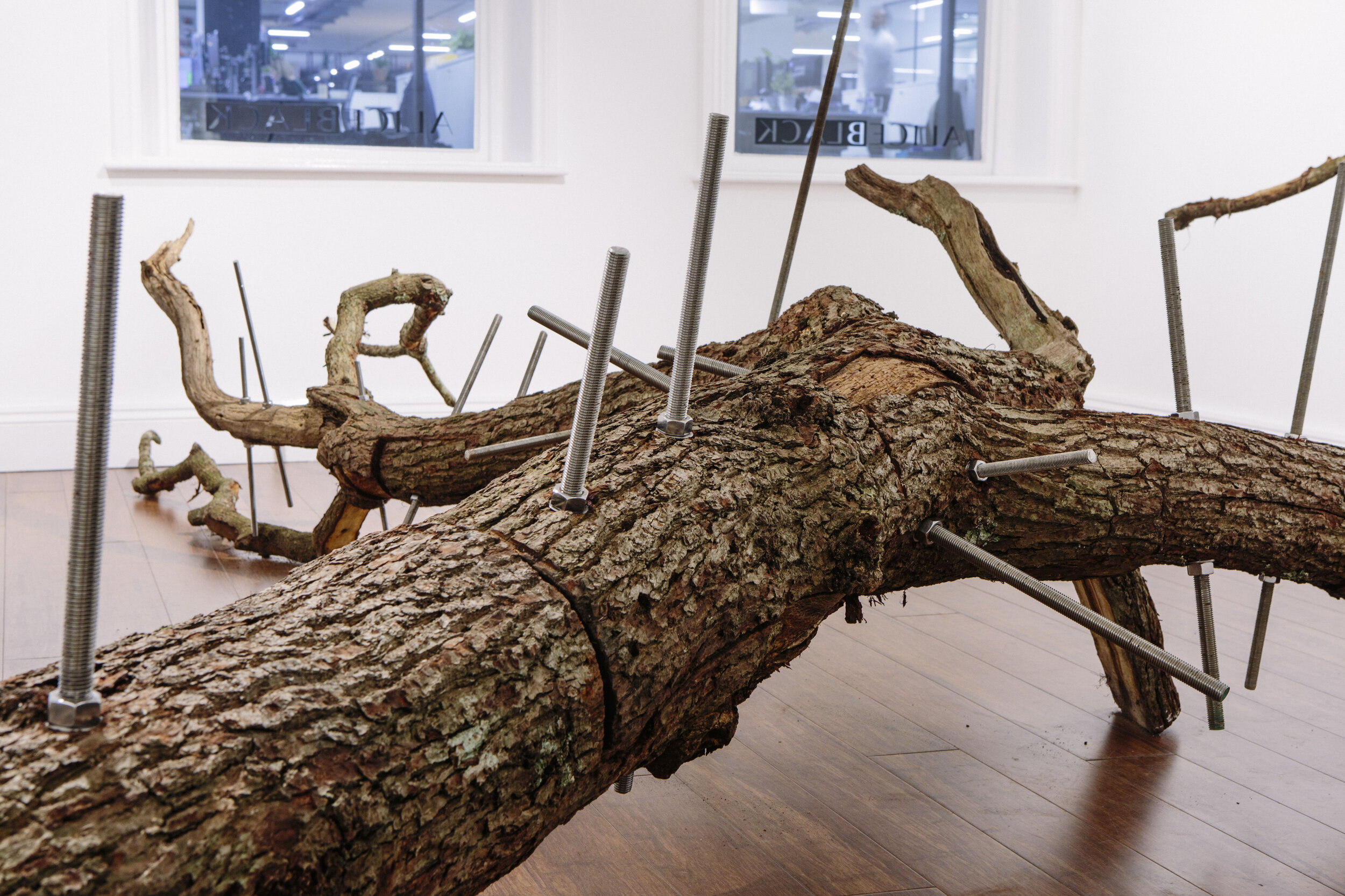 'Resurrect, Quercus Robur' - Rachel Bailey &amp; Johnny Woodford installation at ALICEBLACK, Soho