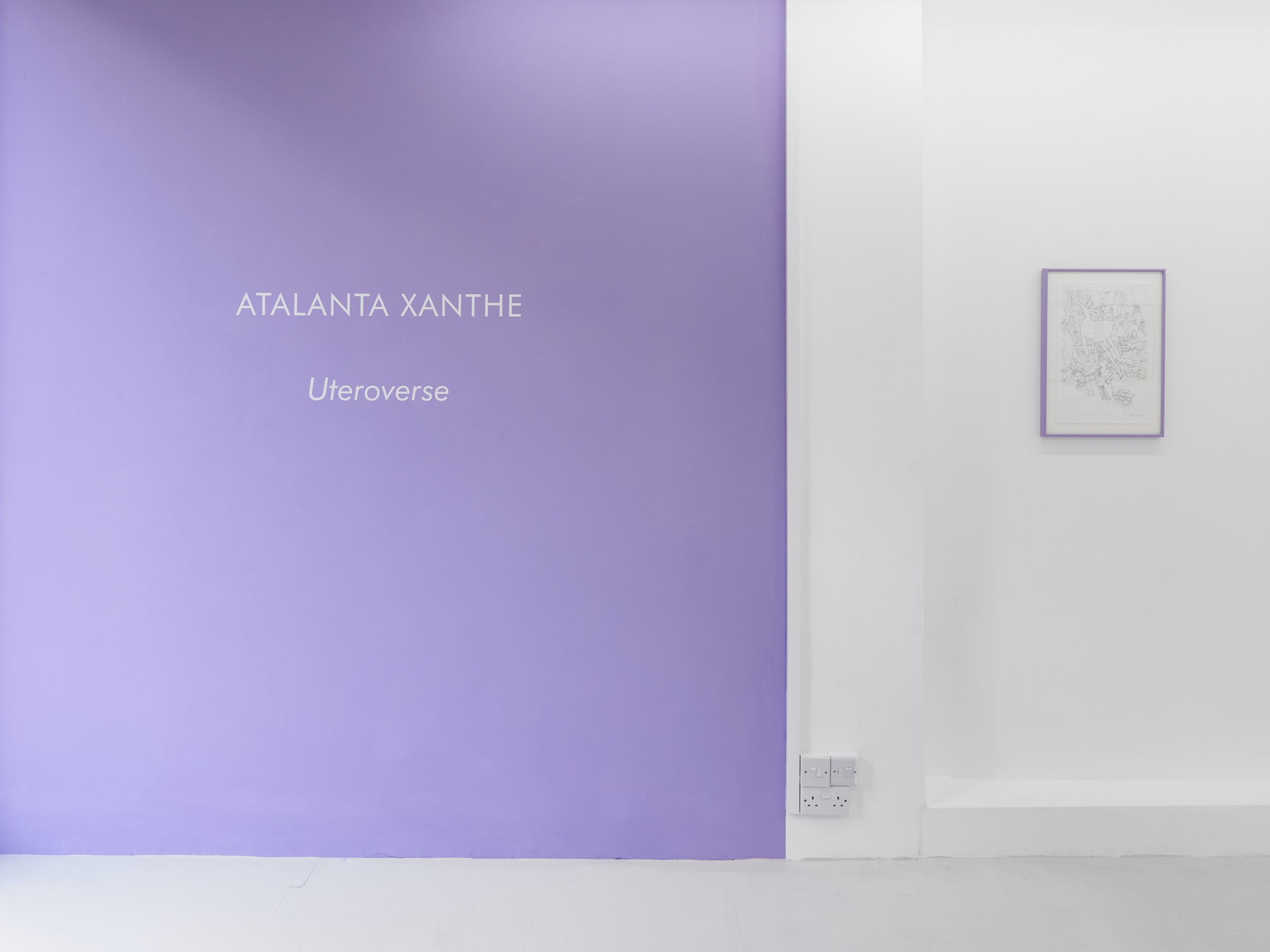 'Uteroverse' Atalanta Xanthe 2022 | ALICE BLACK | Installation View 12.jpg