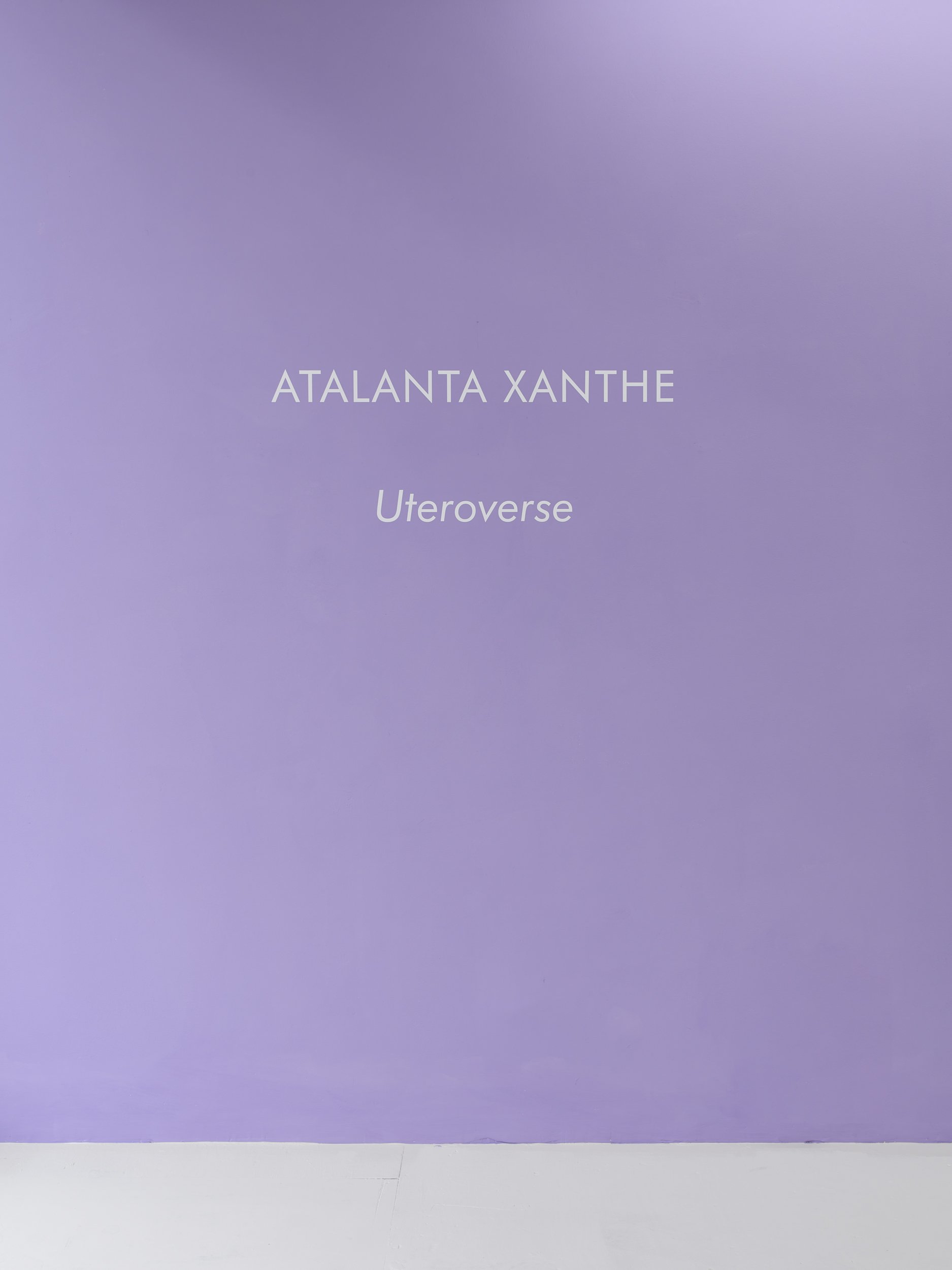 'Uteroverse' Atalanta Xanthe 2022 | ALICE BLACK | Installation View 13.jpg