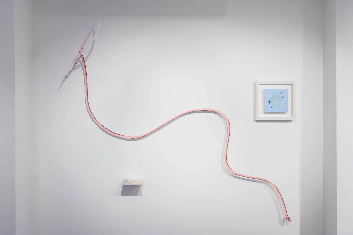 Tristan Pigott 'Slippery Gaze'