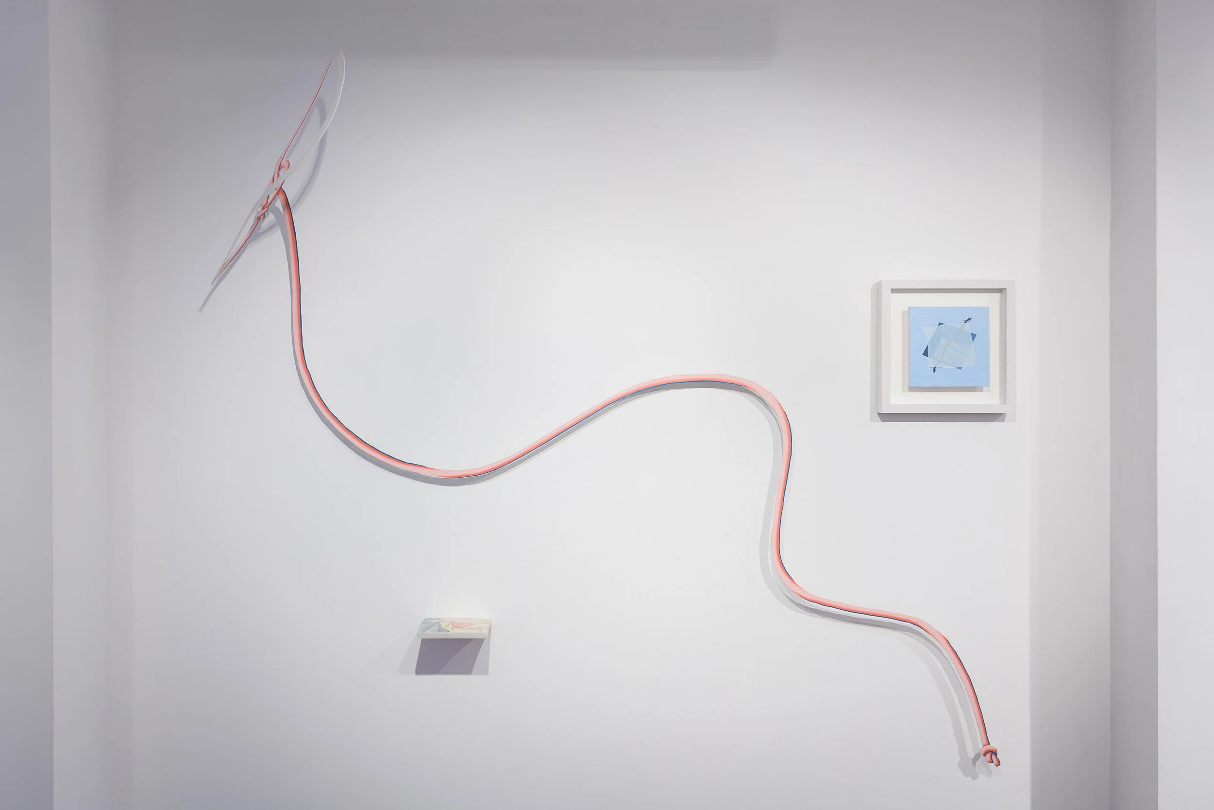 Tristan Pigott 'Slippery Gaze' 2018