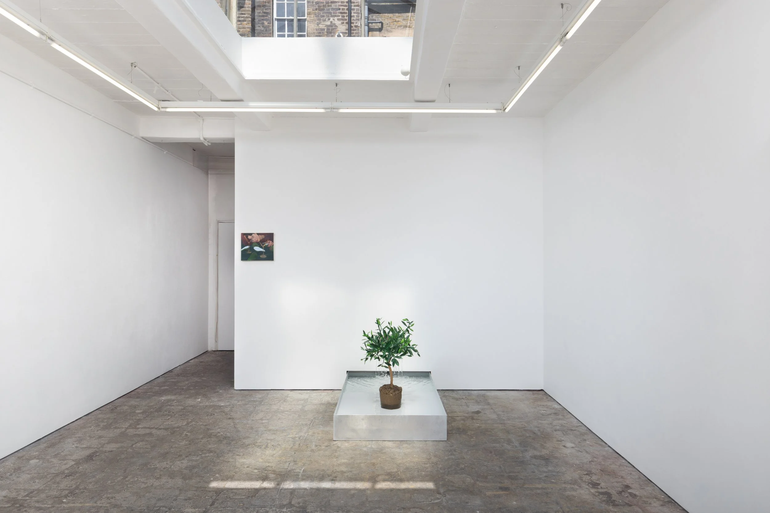 Tristan Pigott, ‘The Orange Tree’ 2026_ALICE BLACK.jpg6.jpg