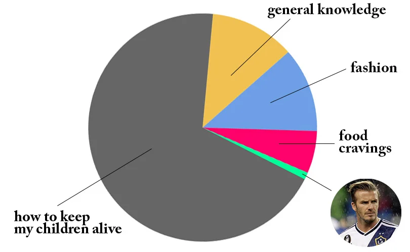 piechart2.jpg