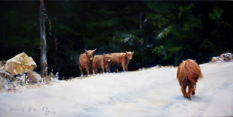 Welcome Shaggy, 10" x 20", oil. These cows were seen in Austria . 