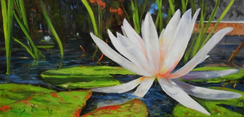 Close Up Creation, 10" x 20", oil. It is amazing how creation is beautiful from different angles.