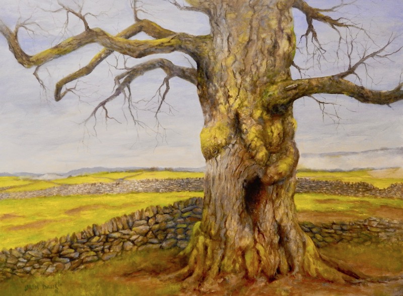 Tree in the Garden 1 SS.jpg