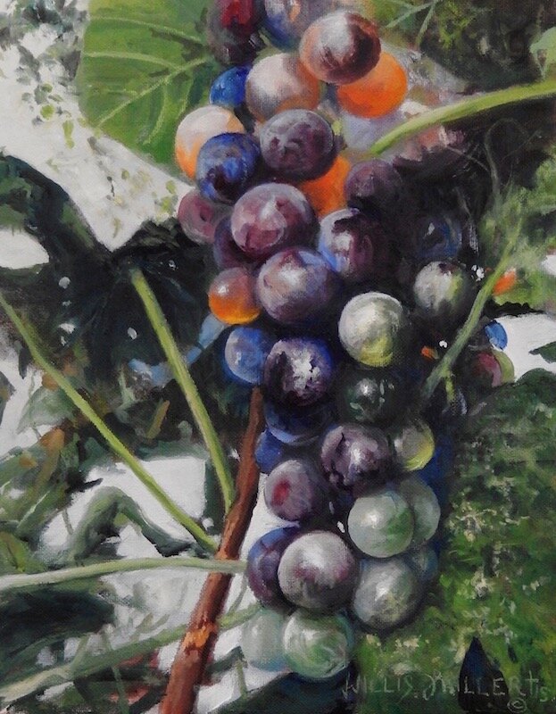Bear Much Fruit WP.jpg