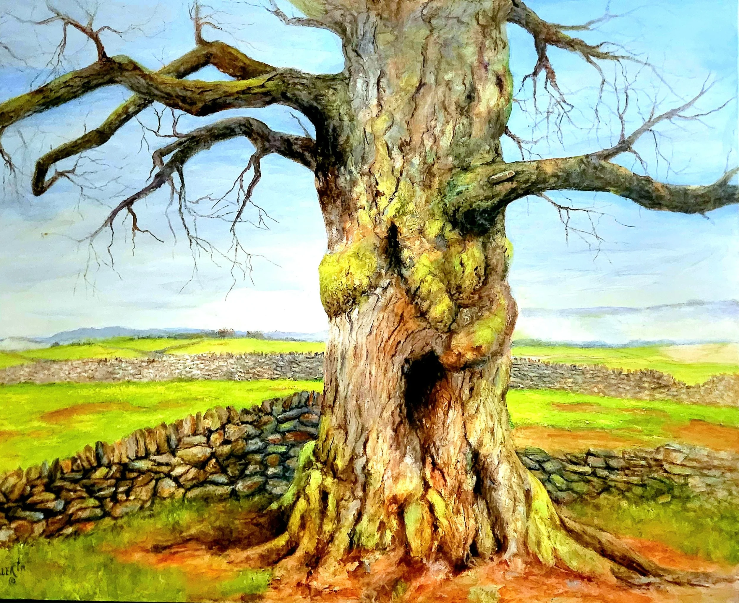 Title: Title: If Only Trees Could Talk, wrapped canvas