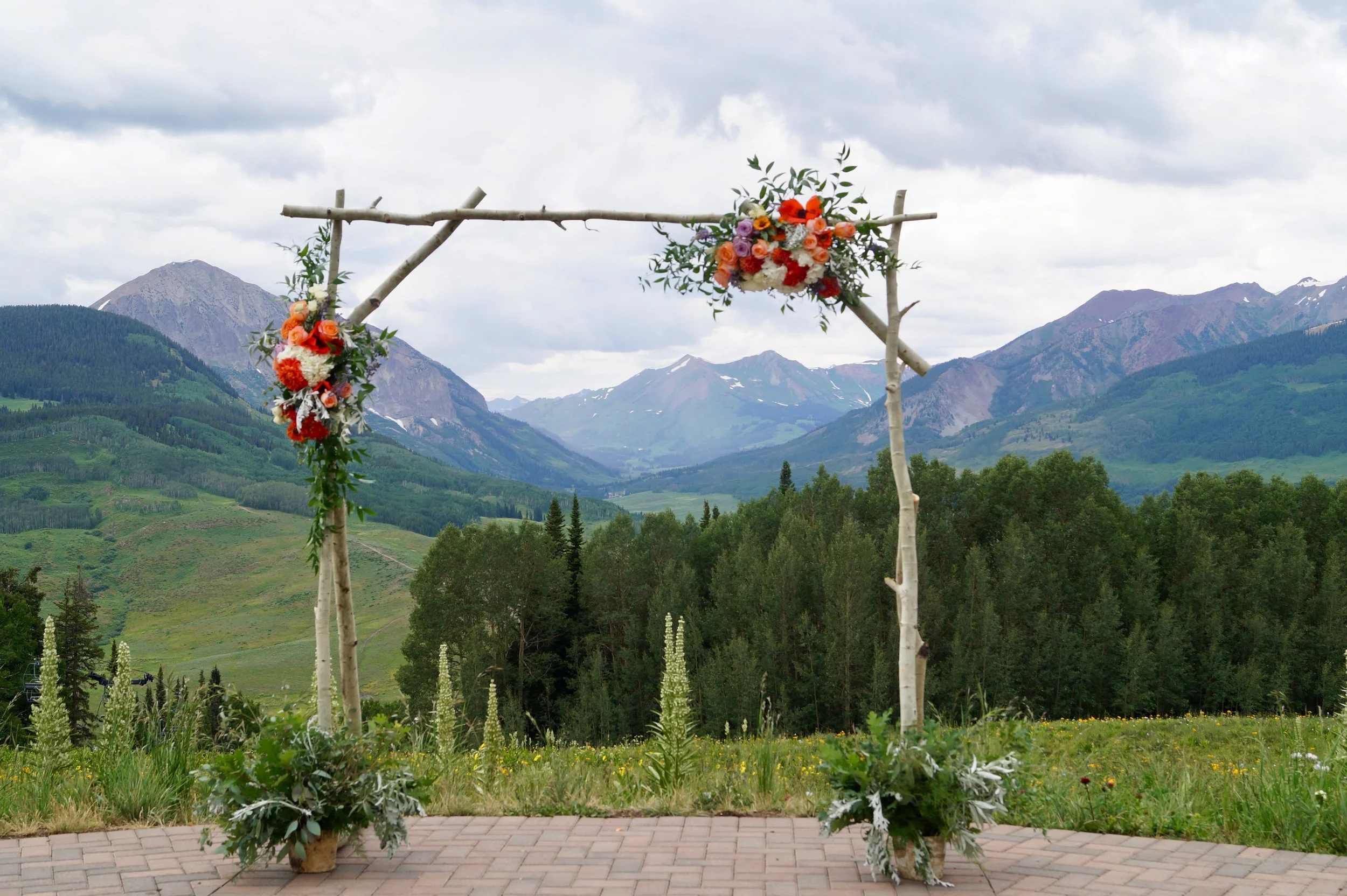Rustic Aspen Branch