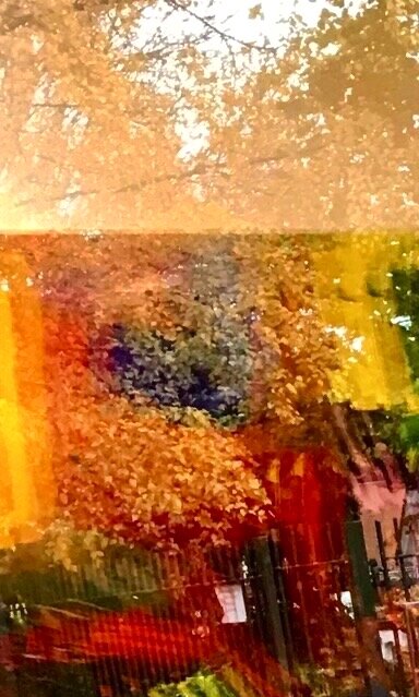 Reflections in Windows of Hampstead School of Art