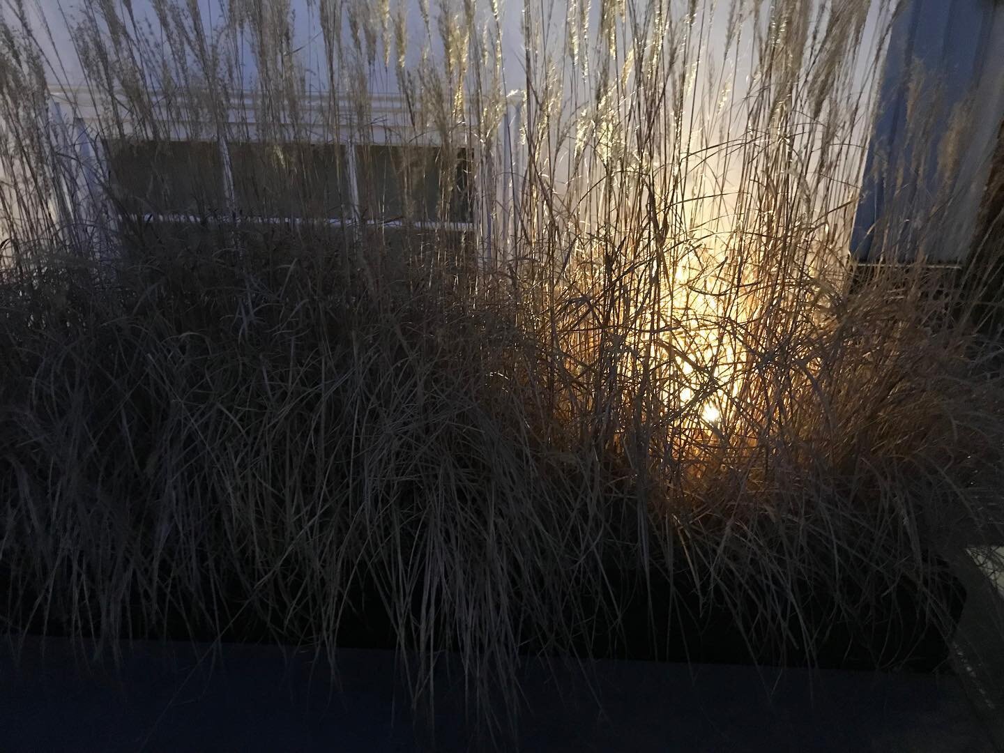 November evening 7.30 pm - photo

#mixedmedia #photography #hampstead #hampsteadart #collageart #womenartists #artlovers #germanartist #artcollection