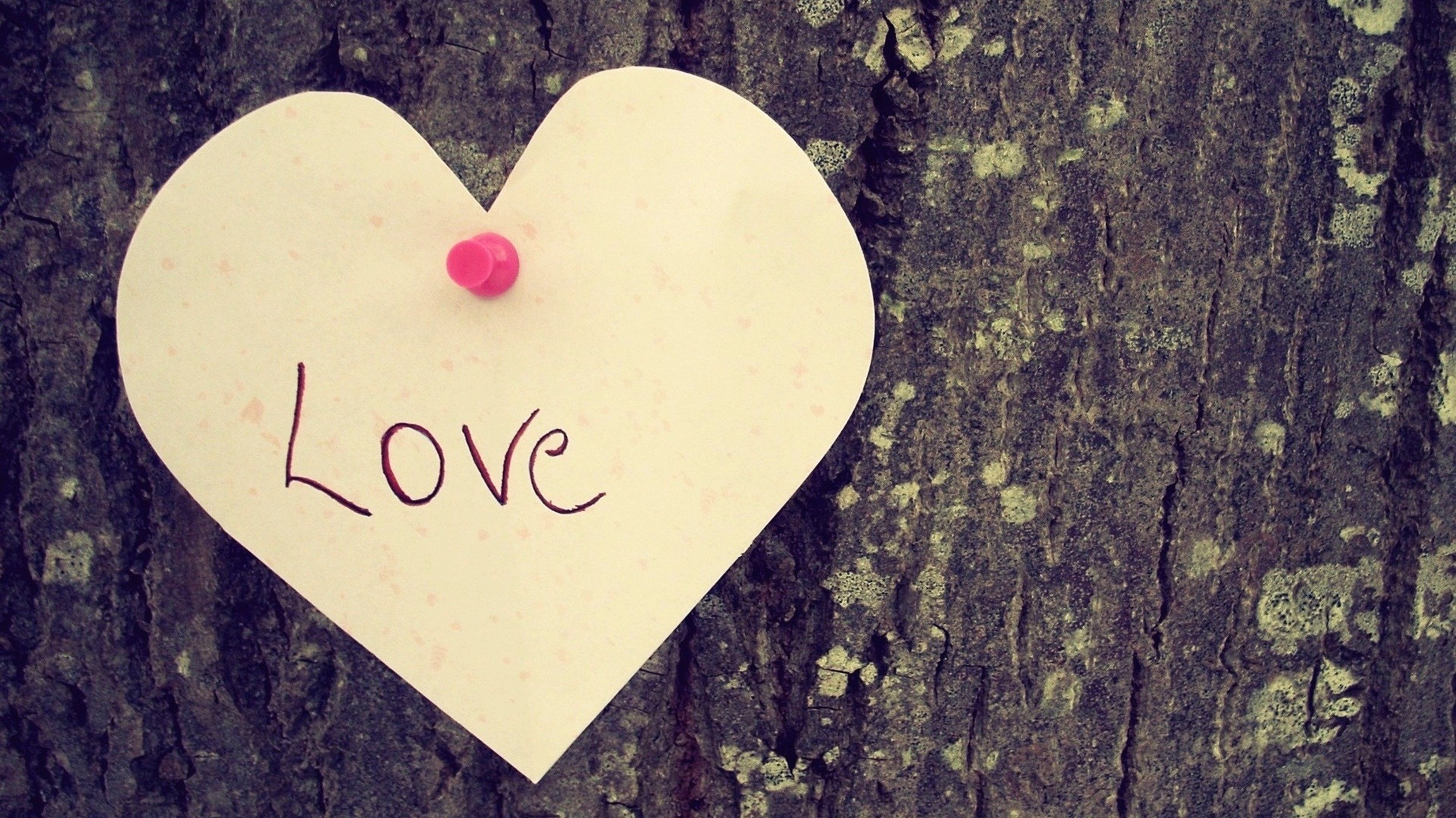 LOVE.jpg