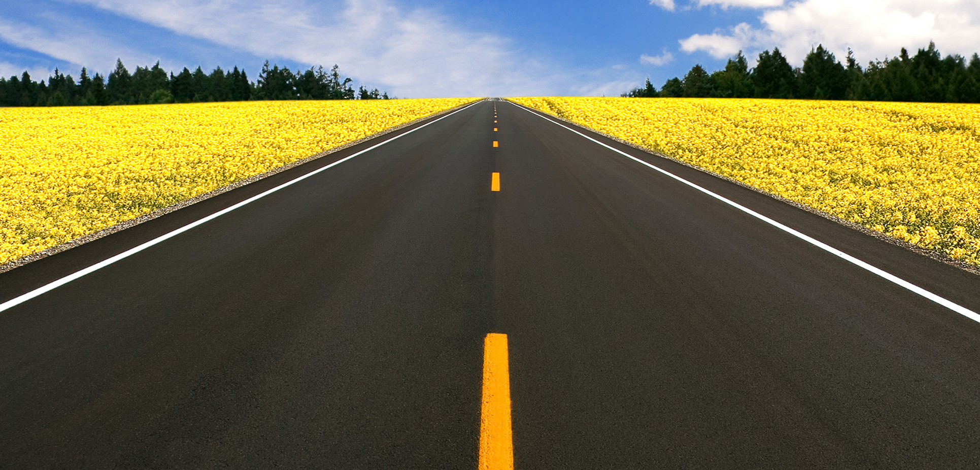 MovingForwardTogether1.jpg