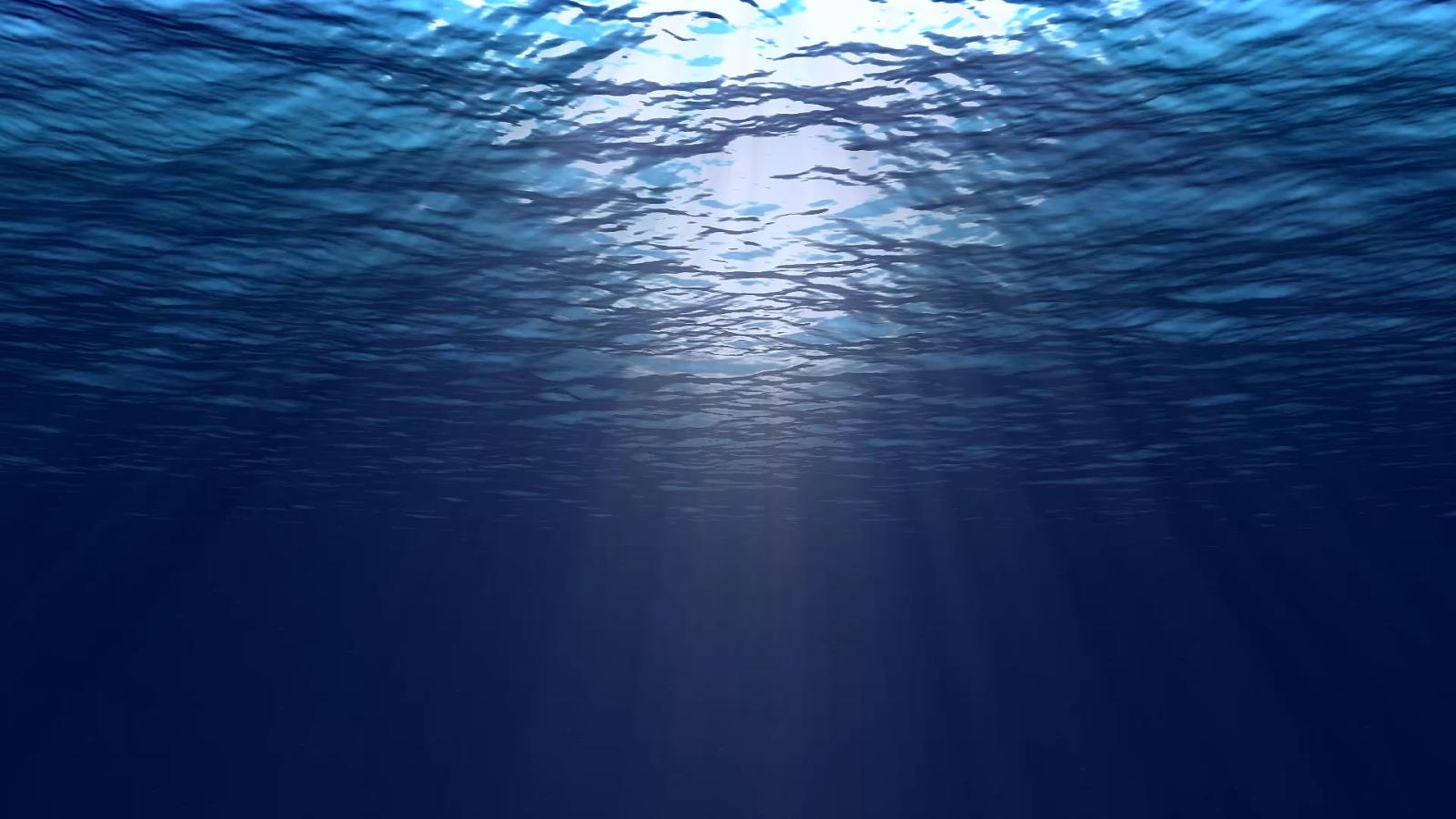 Dory.jpg