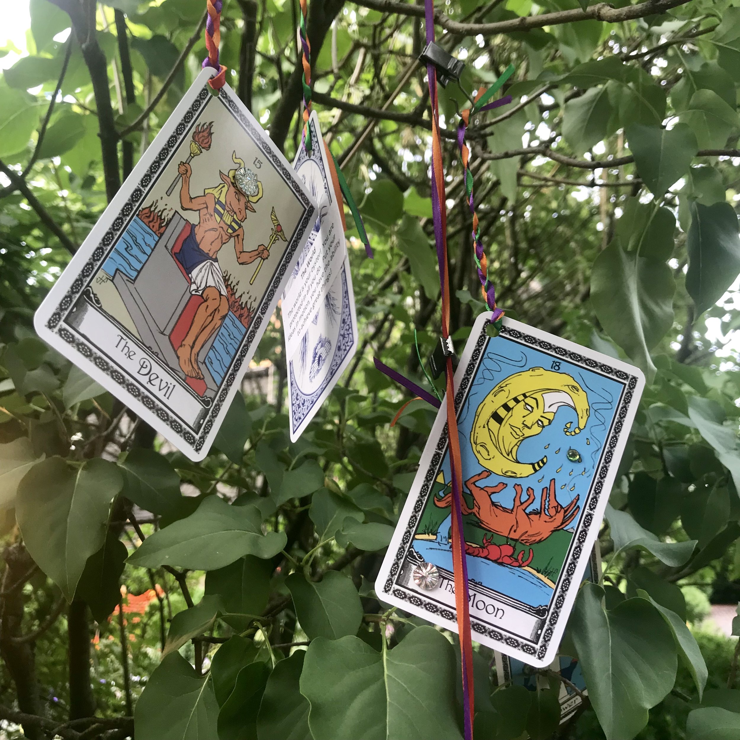 Tarot cards in the trees.