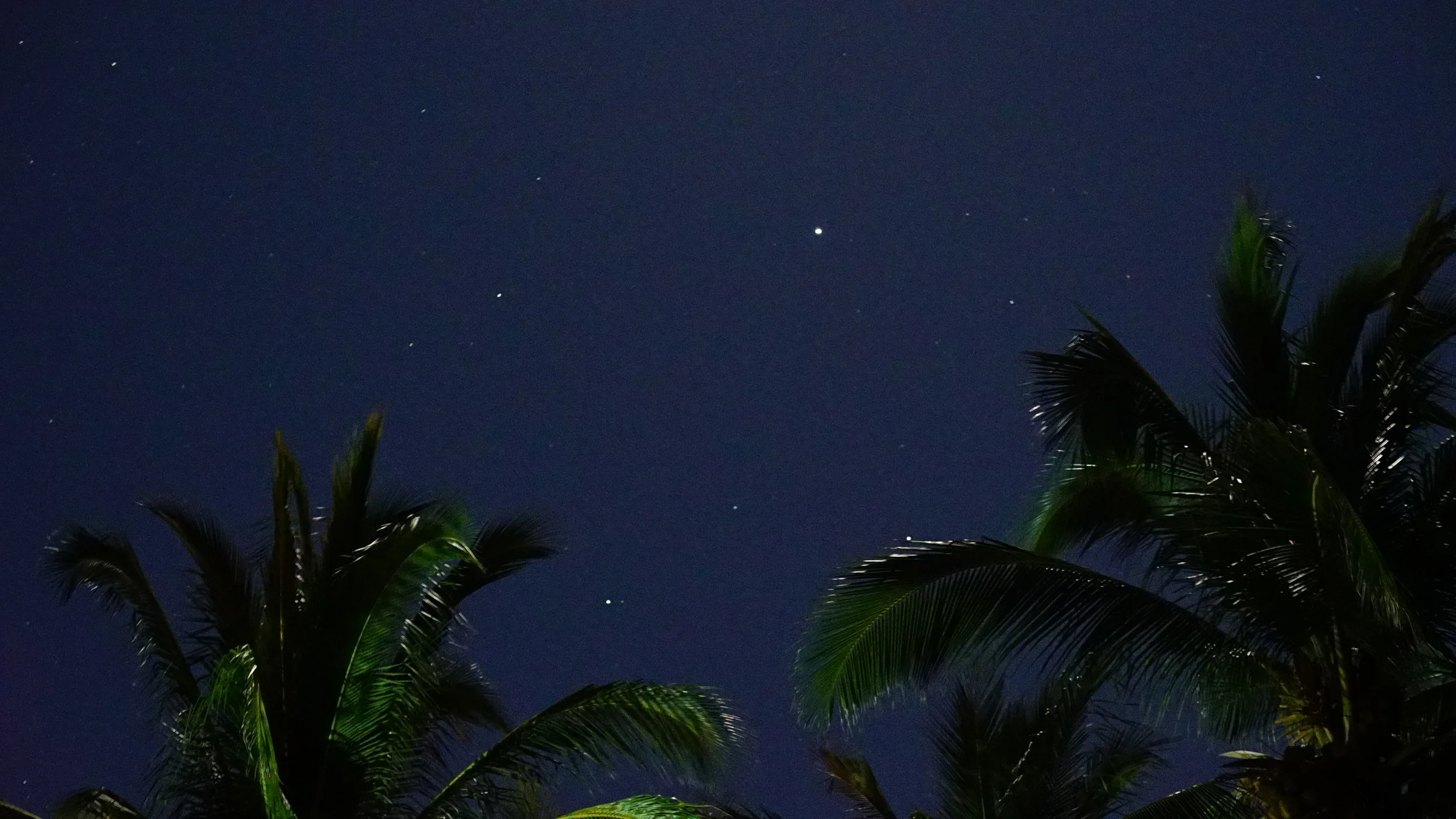 DSC00948.JPG