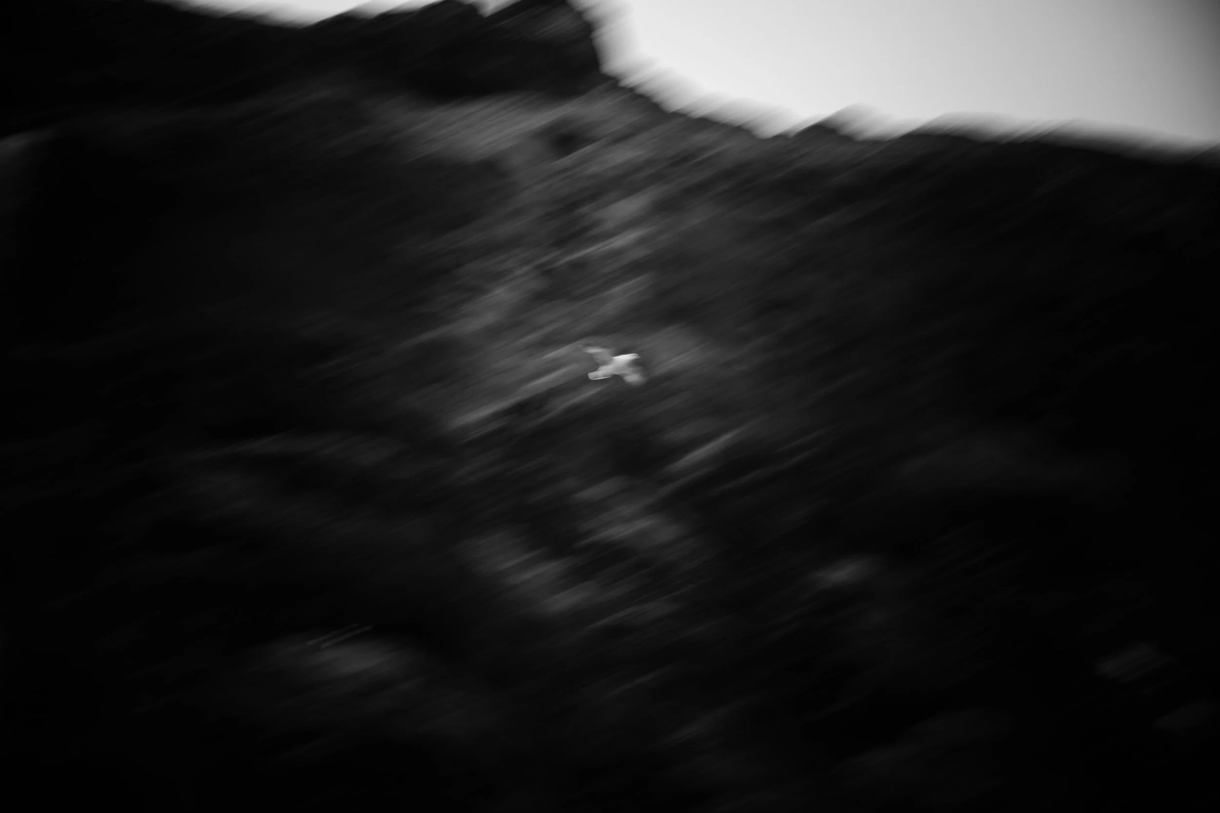 3H7A3668.JPG