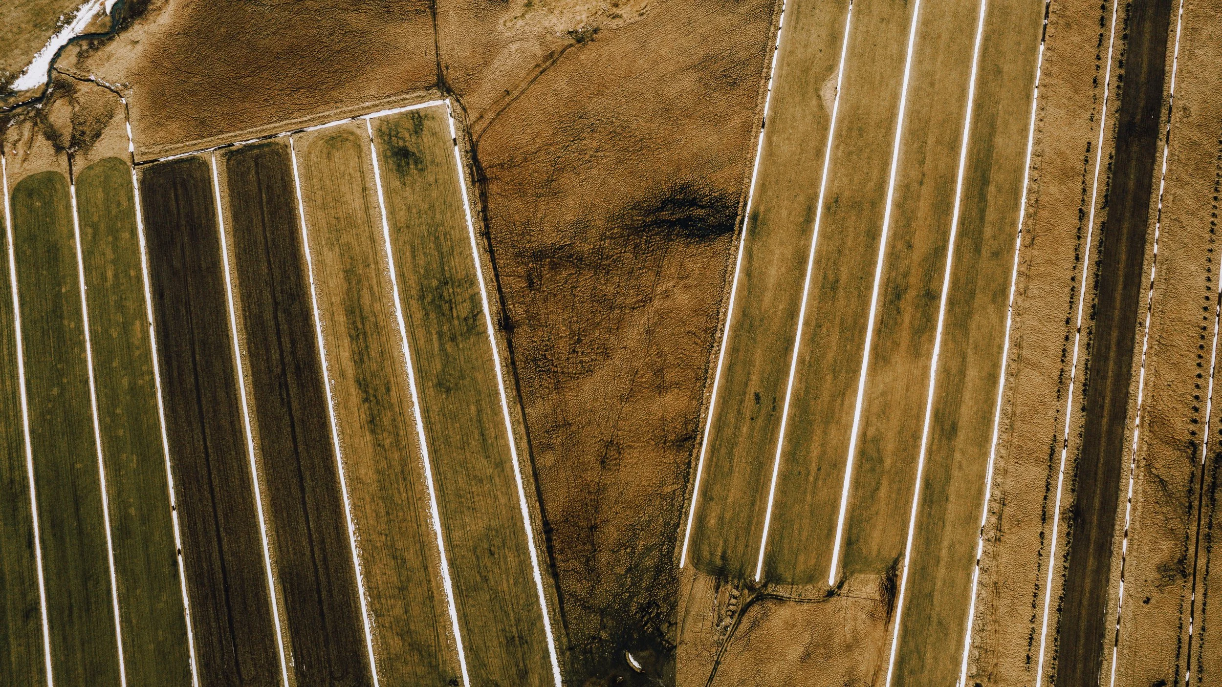 DJI_0080.JPG