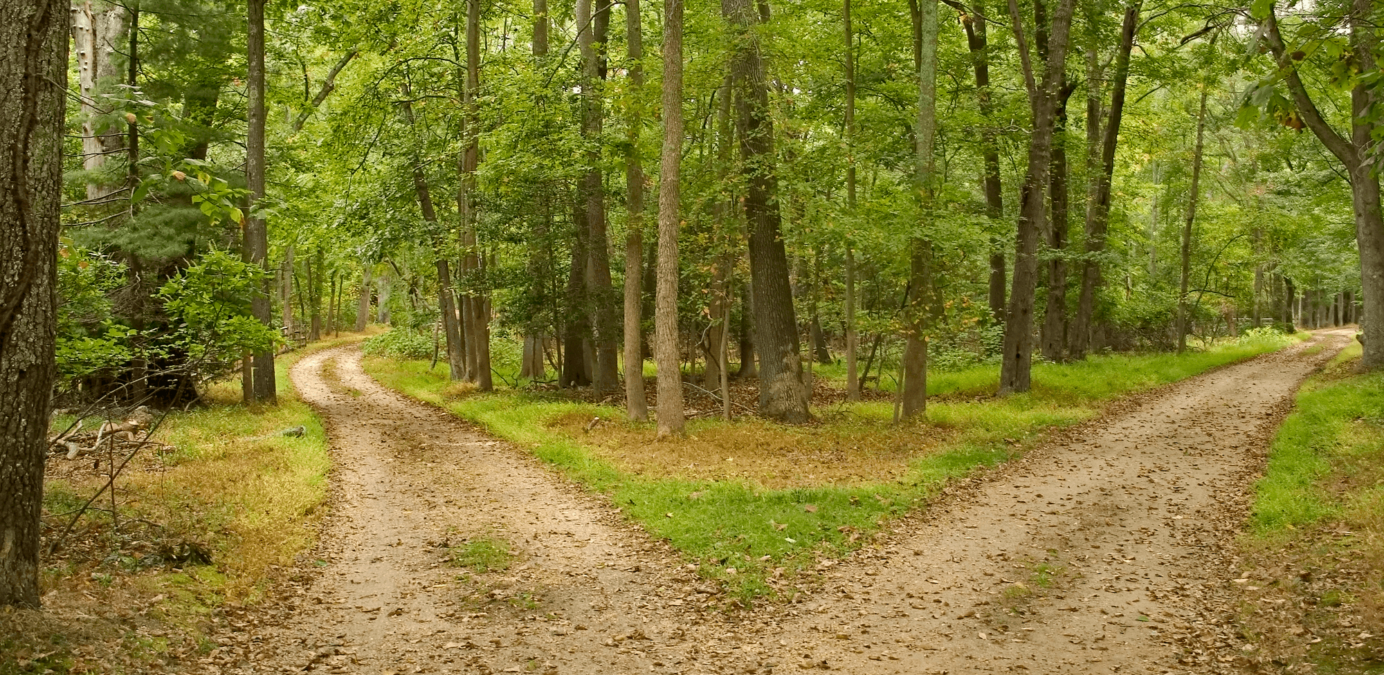 fork in the road.png