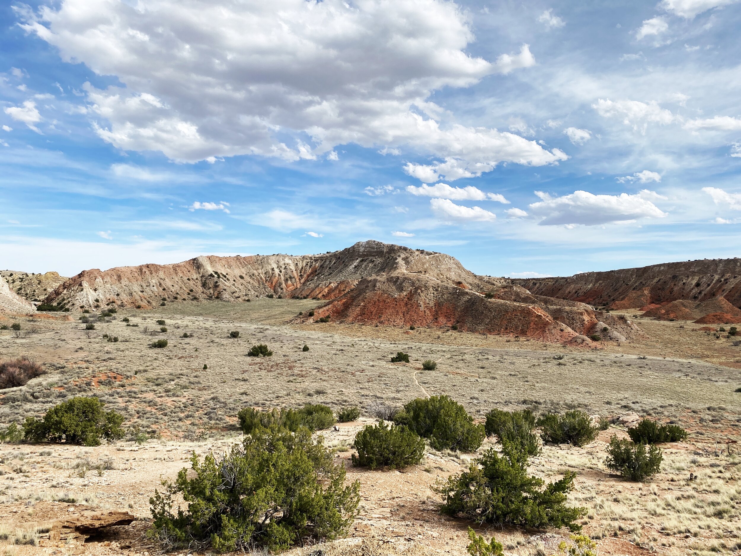 Zia Land: Mountain Roots